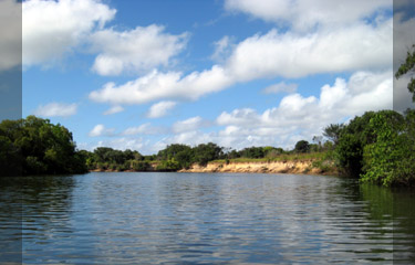 Mangrove creeks in the Mnazi Bay Marine Park